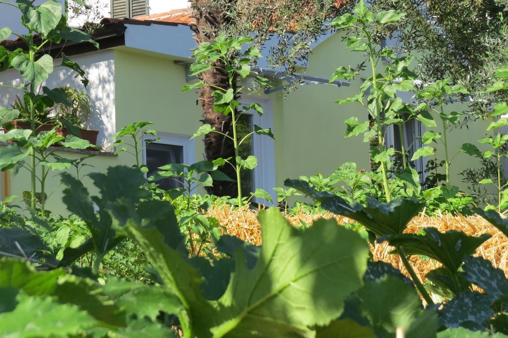 Apartment Casetta Portoroz Exterior photo
